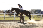 SBM_003524