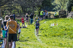 The Finish-1618