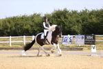 SBM_008623