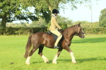 SBM_59839