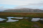Hoyholmen, Varanger peninsula, Troms og Finnmark, Norway