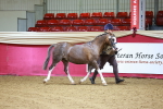 SBM_00445