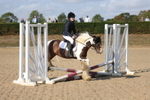 Unaffilated Show Jumping portfolio