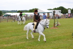 SBM_08878
