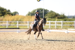 SBM_007582