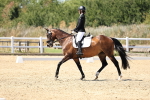 SBM_002594