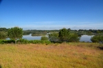 La Rocina, Coto Doñana, Andalucia, Spain