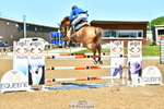 Cls 3 Foxhunter portfolio