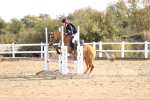 SBM_001141