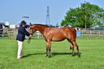 SBM_00968