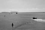 From the Barrage 2