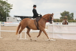 SBM_06403