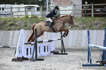BVRC SJ 170319 804