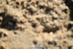 251004A-152403-01814