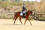 SBM_010664