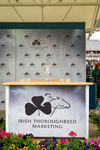 210824-Race 6-Star Of Lady M-5906