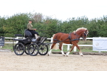SBM_000404