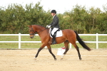 SBM_018405