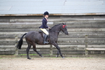 SBM_004709