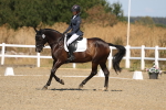 SBM_013487