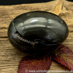 Polished Whitby Ammonite Nodule 043