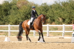 SBM_011098