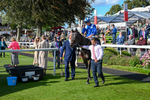 240824-Race 5-Elmonjed-1579