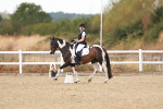SBM_018684