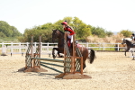 SBM_002360