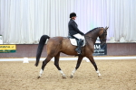 SBM_004381