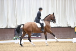 SBM_016232