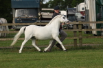 SBM_00601