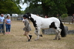 WJ6_8380