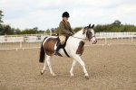 SBM_05236
