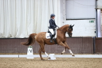 SBM_019502