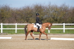 SBM_001972