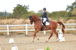 SBM_005498