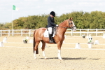 SBM_019237