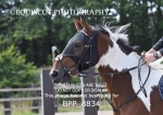 BPP_8834