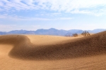 Mesquite Flat Sand Dunes