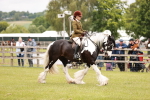 SBM_06210