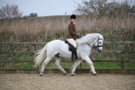 SBM_006017