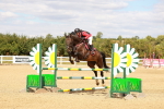 SBM_006674