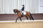 SBM_008013