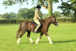 SBM_59837
