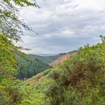 Dartmoor