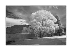 Monochrome portfolio