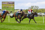 240424-Race 2-Restless Prince-7743