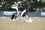 SBM_30646