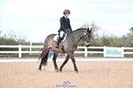 Novice 34 portfolio